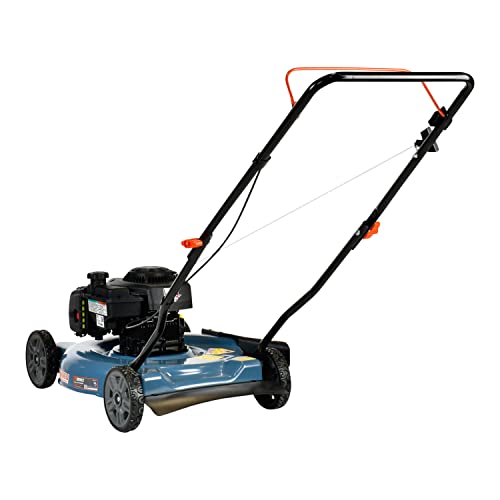 Gas Lawn Mower, 20-Inch, 125 cc 4-Cycle Engine, Push Lawnmower