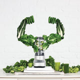 Fresh & Furious Blender with LCD Display, Silver