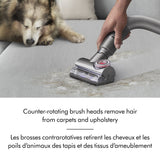 Ball Animal 3 Extra Upright Vacuum