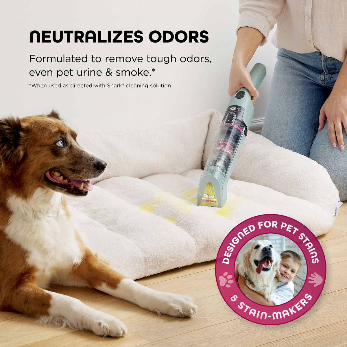 StainForce Cordless Stain Cleaner